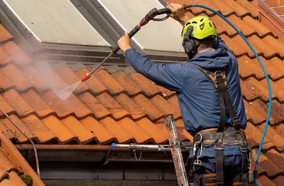 Démoussage et hydrofuge de toiture à Saillagouse